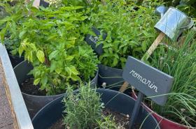 Hôtel Campanile Cahors - photo 6